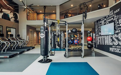 Two-Story Fitness Center with Treadmills, Boxing Bag, and Training Stations