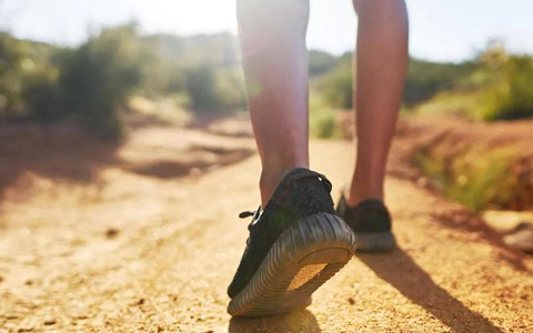 Get Outdoors on Scenic Paths Close to Domain at The Gate