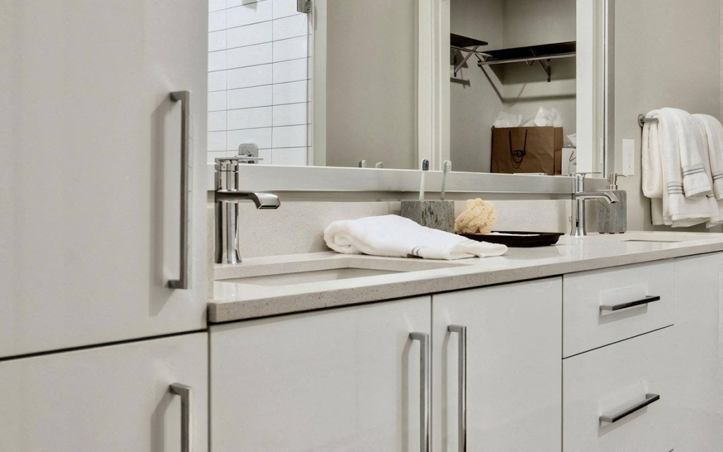 Double Sink Bathroom Vanity with Storage Cabinets and Wall Mirror