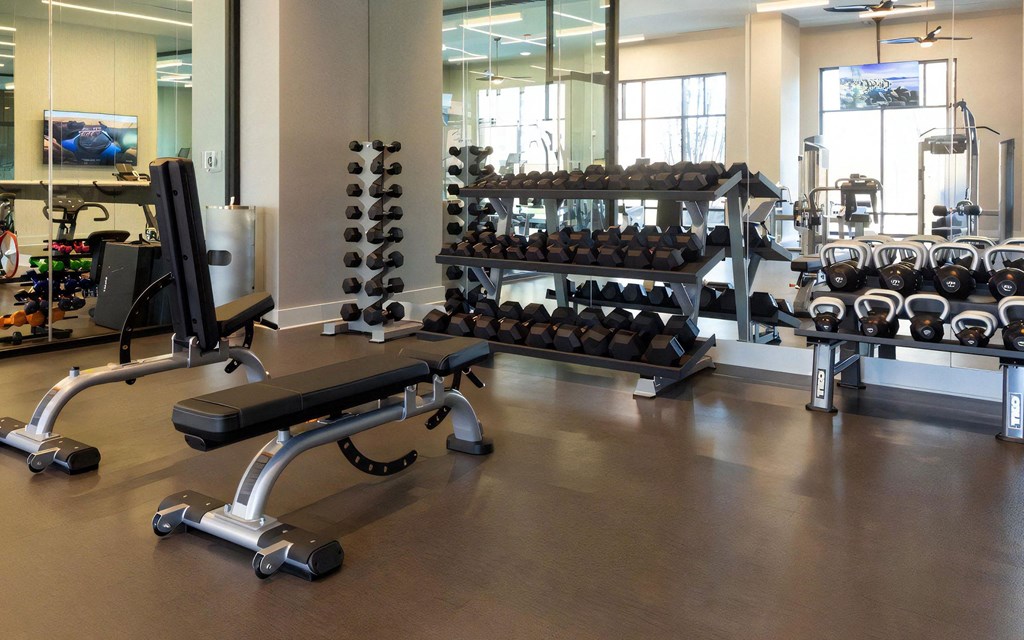 Free Weights and Training Equipment Set in Front of Mirror Wall