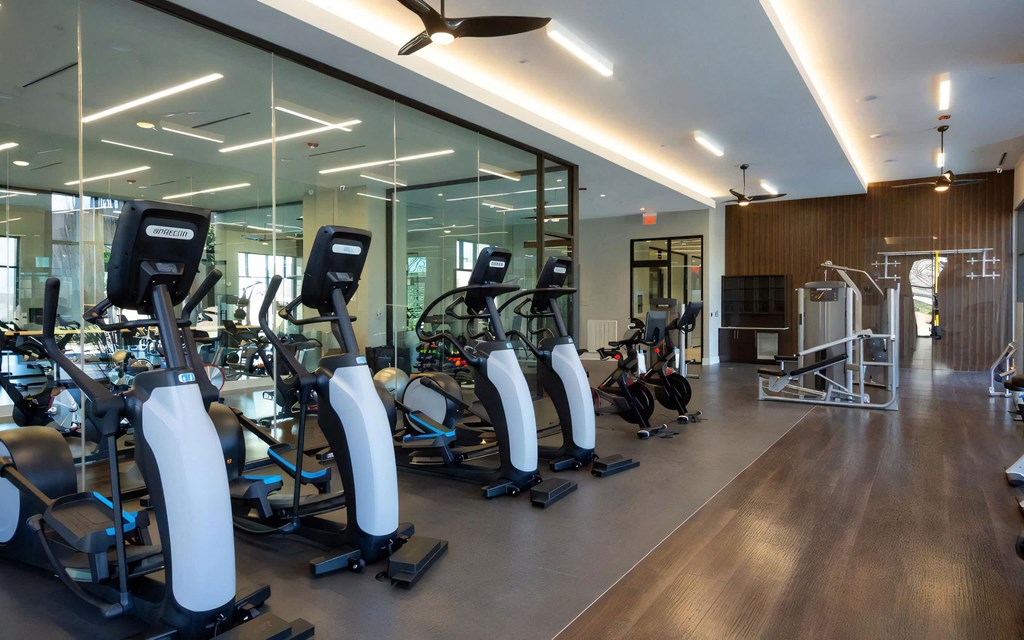 Community Gym with Treadmills, Free Weights, and Workout Stations