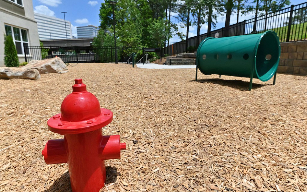 Pet Play Area at The Elden Galleria with Mulch Ground Cover and Open Space