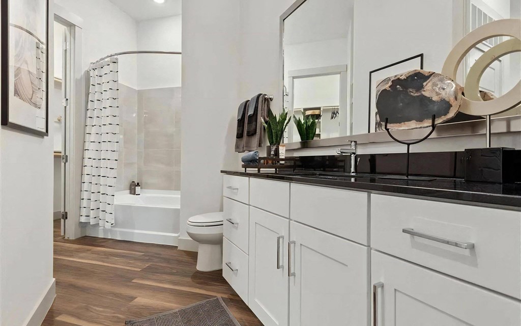 Large Bathrooms with Cabinet Storage