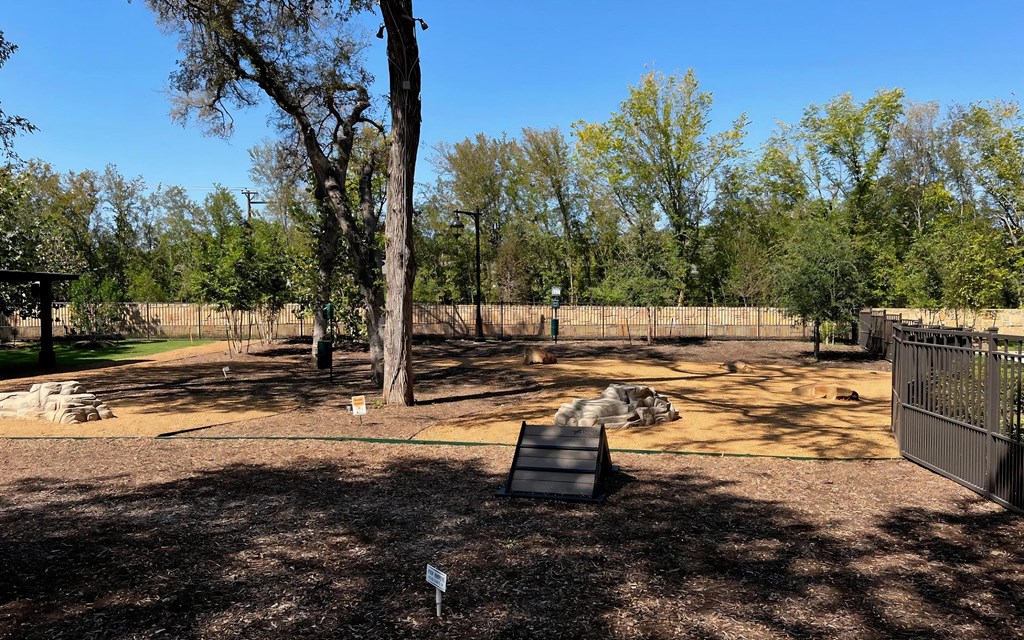 Outdoor Pet Park