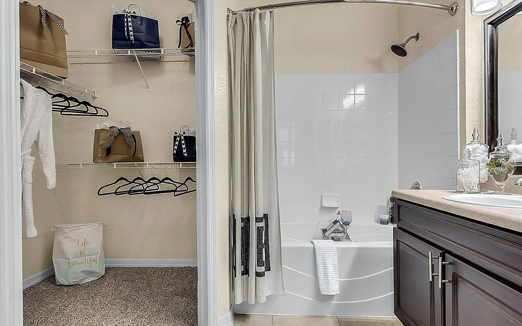 Walk In Closet Connected to Bathroom