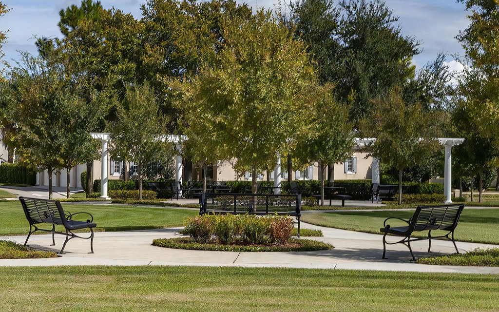 Outdoor Courtyard with Tree-Lined Paths and Benches