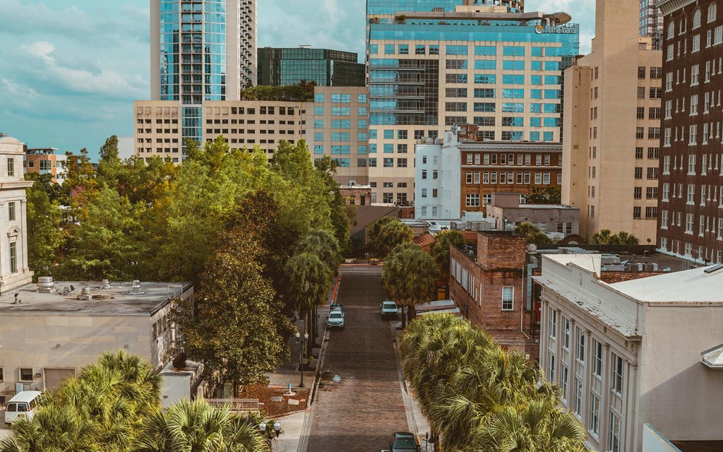 View of Brick Road Leading to High-Rise Buildings and Urban Greenery
