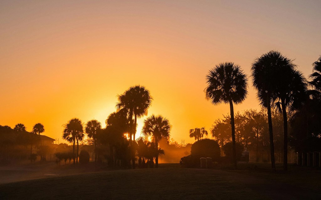 Golden Sunrises and Palm Trees Set the Tone at Enders Place at Baldwin Park