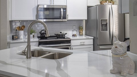a kitchen with a sink and a cat on the counter