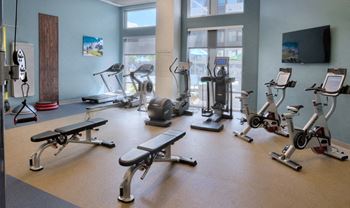 Cardio Machines In Gym at Trifecta Belmar, Lakewood