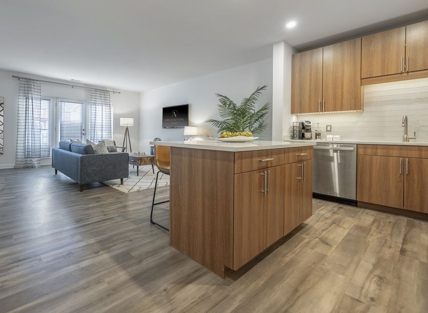 kitchen with island, counter seating, stainless steel appliances and granite countertops - luxury arlington ma apartments - Photo Gallery