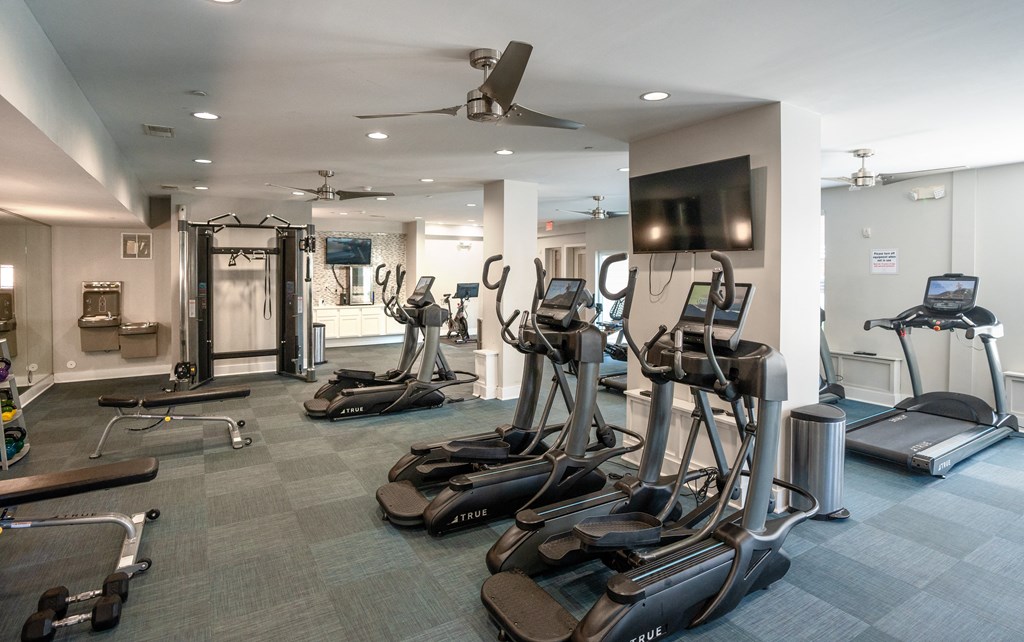 Modern Apartment Fitness Studio with Top-of-the-Line Exercise Equipment