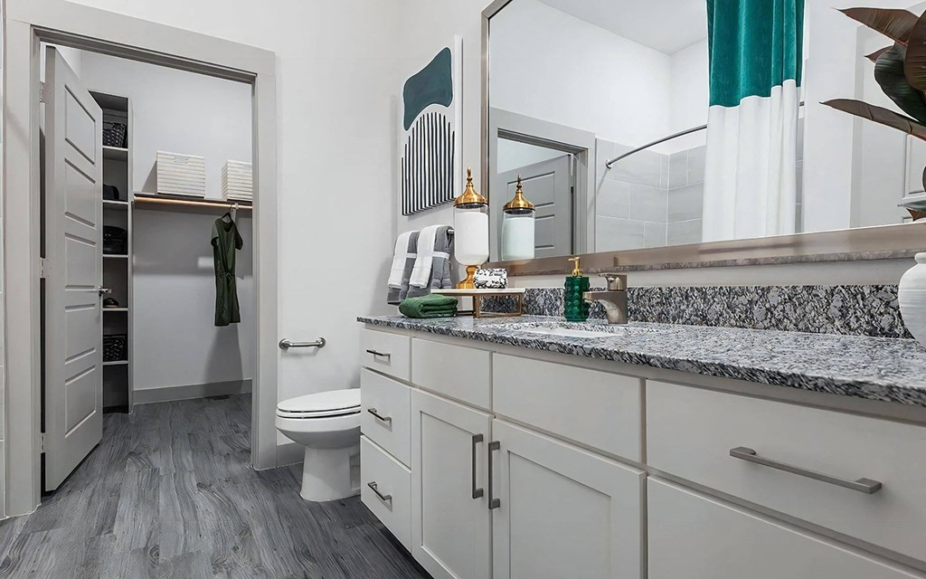 Gorgeous Bathroom with Connected Walk In Closet
