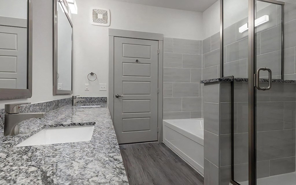 Spa-Inspired Bathroom With Granite Countertops and Dual Bath Options