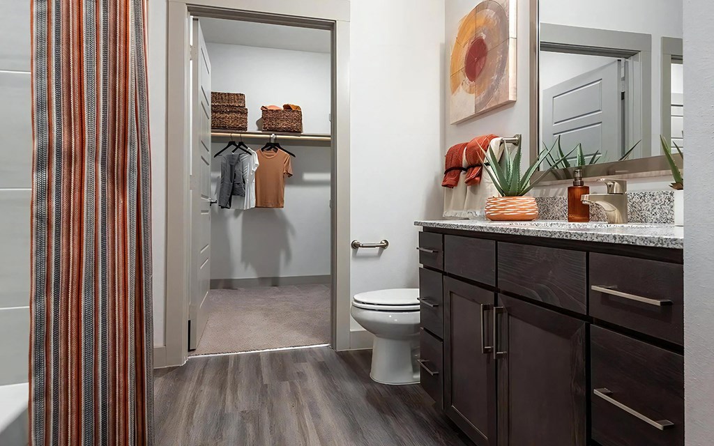 Ensuite Bathroom Connected to Spacious Walk-In Closet