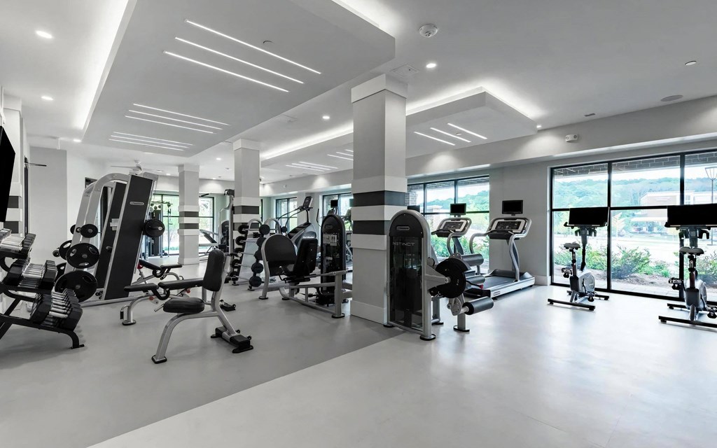 Full-Service Fitness Studio with Cardio and Strength Equipment
