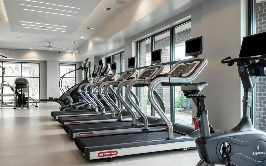 Cardio-Focused Fitness Studio with Row of Treadmills and Ellipticals