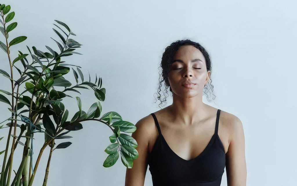 Embrace a Moment of Calm Near The Harper