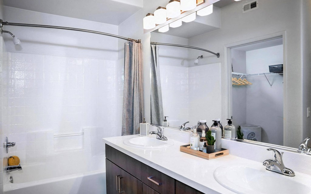 Master Bathroom with Walk in Closet