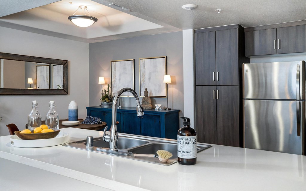 Fully Equipped Kitchen with Stainless Steel Appliances Dishwasher and Garbage Disposal