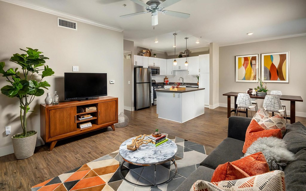 Modern Open Plan Concept for Living and Dining