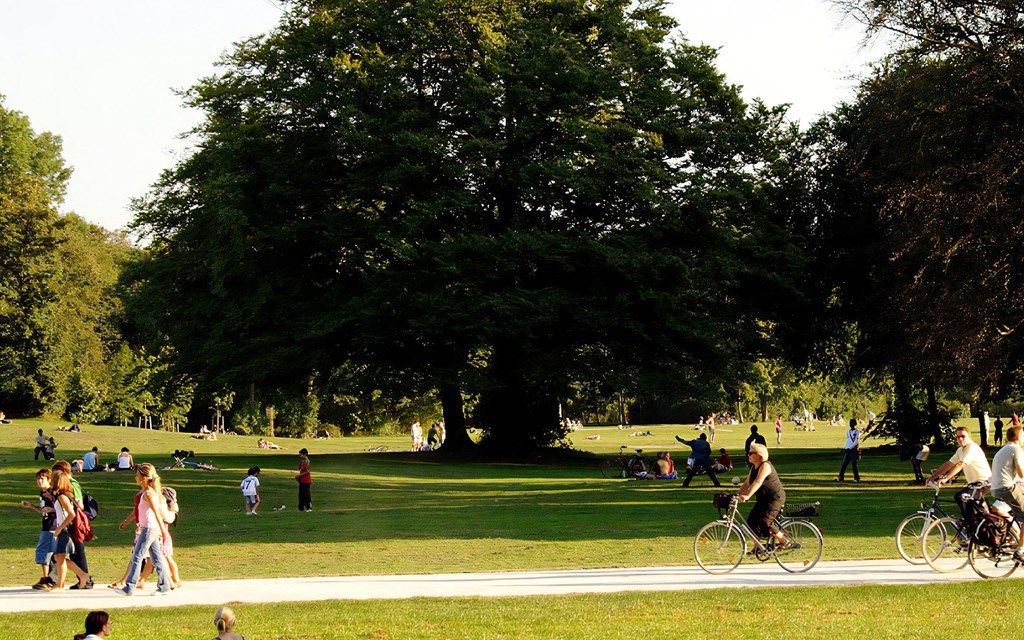 Chino Hills Community Park