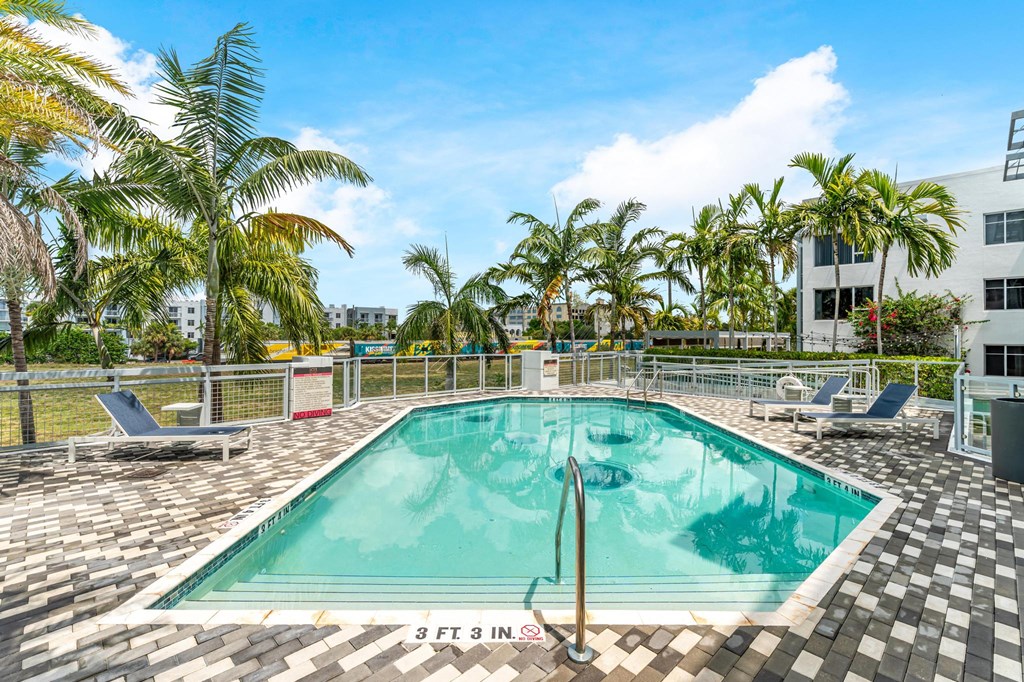 Pool Area with Lounge Chairs, Tile Decking, and Palm Tree Views in Courtyard Setting