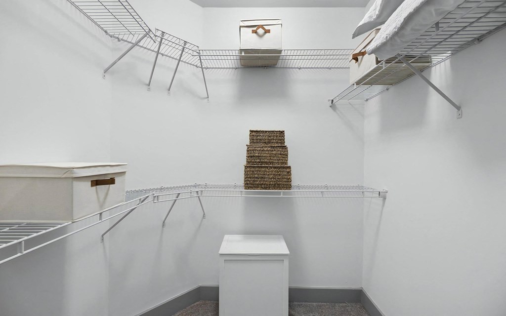 Spacious Walk In Closet with Shelves