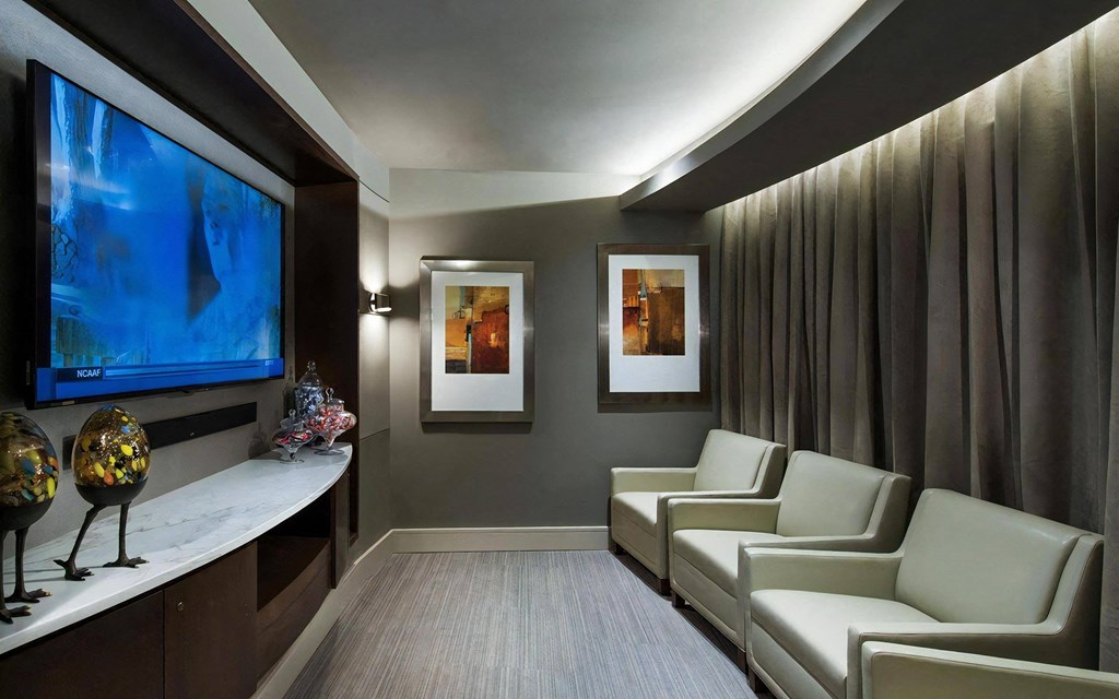 Private Screening Room