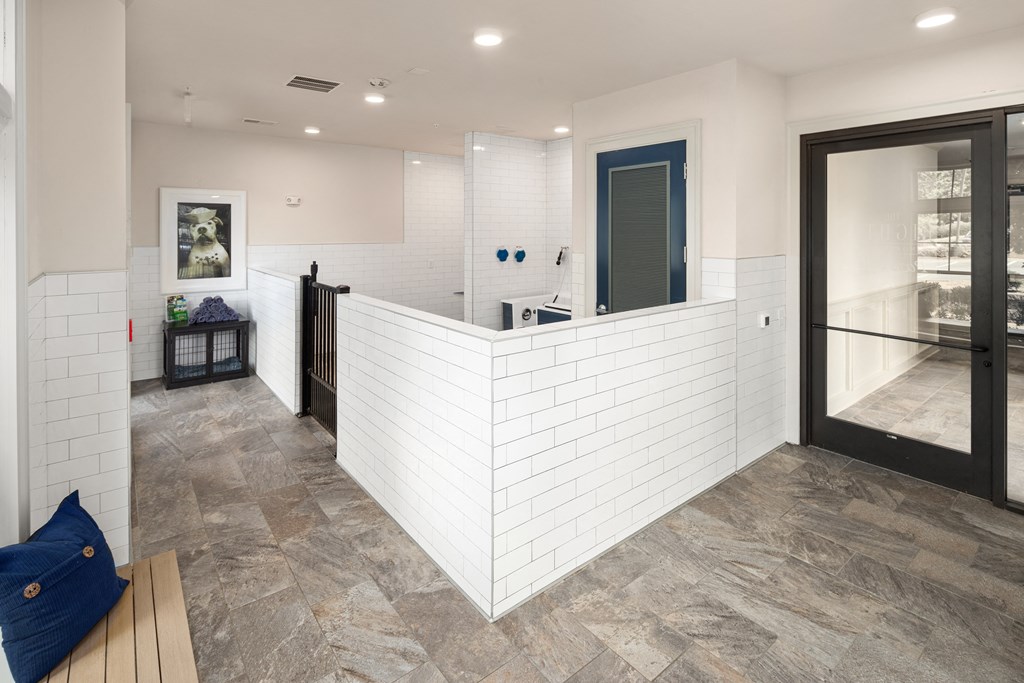 Pet-Friendly Apartment Amenity Featuring Grooming Area and Washing Bay