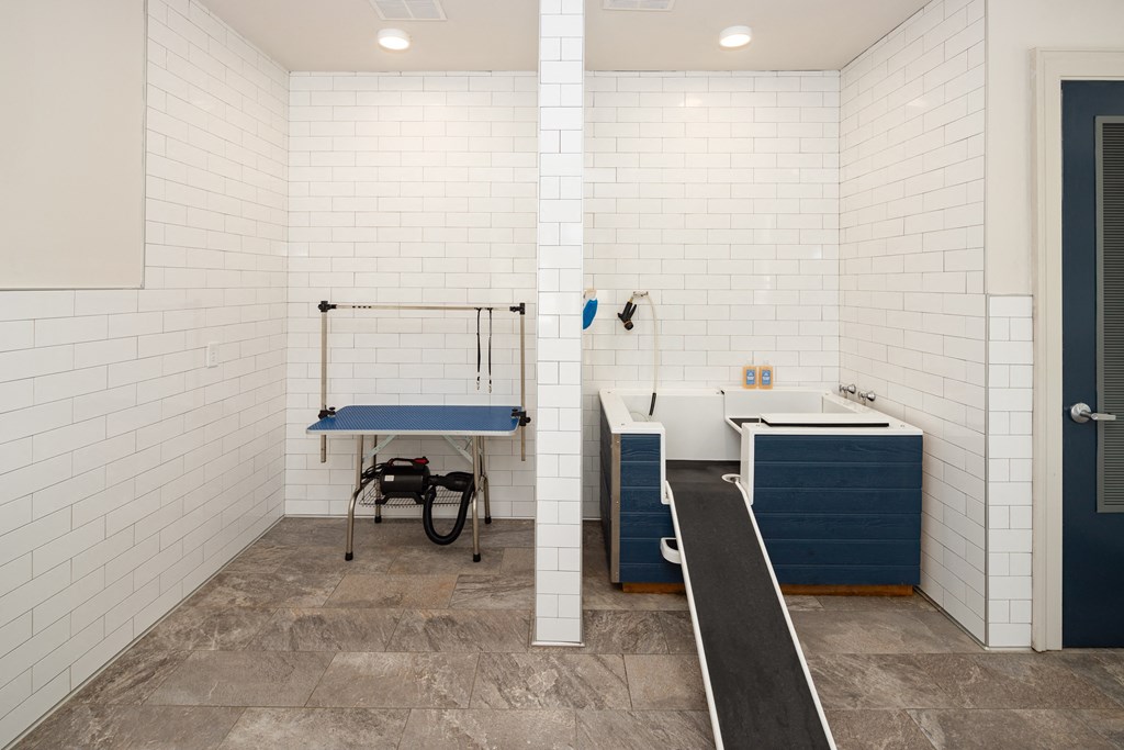 Pet Wash Room Featuring Grooming Table and Raised Tubs with Ramps