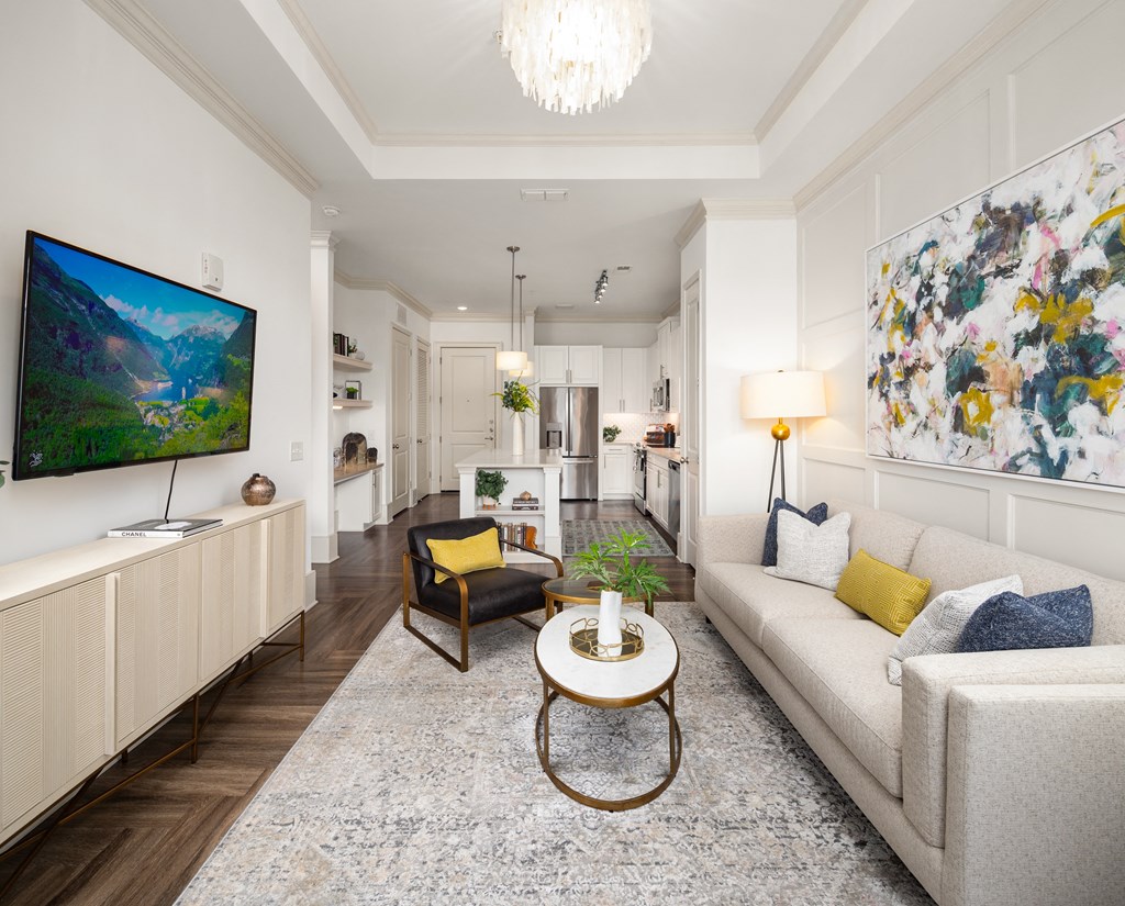 Open Living and Kitchen Layout with Sofa and Wall-Mounted TV