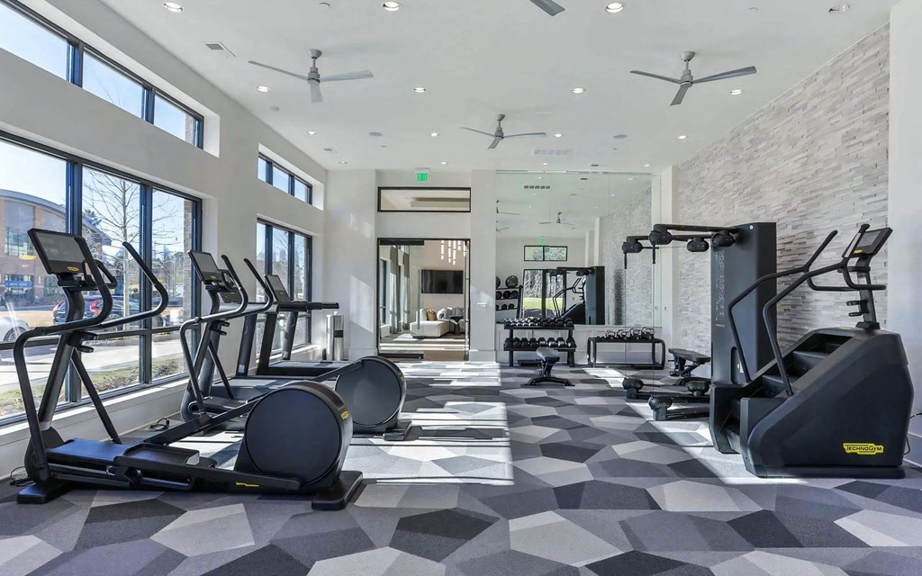 Apartment Fitness Room with Treadmills, Strength Machines, and Large Windows