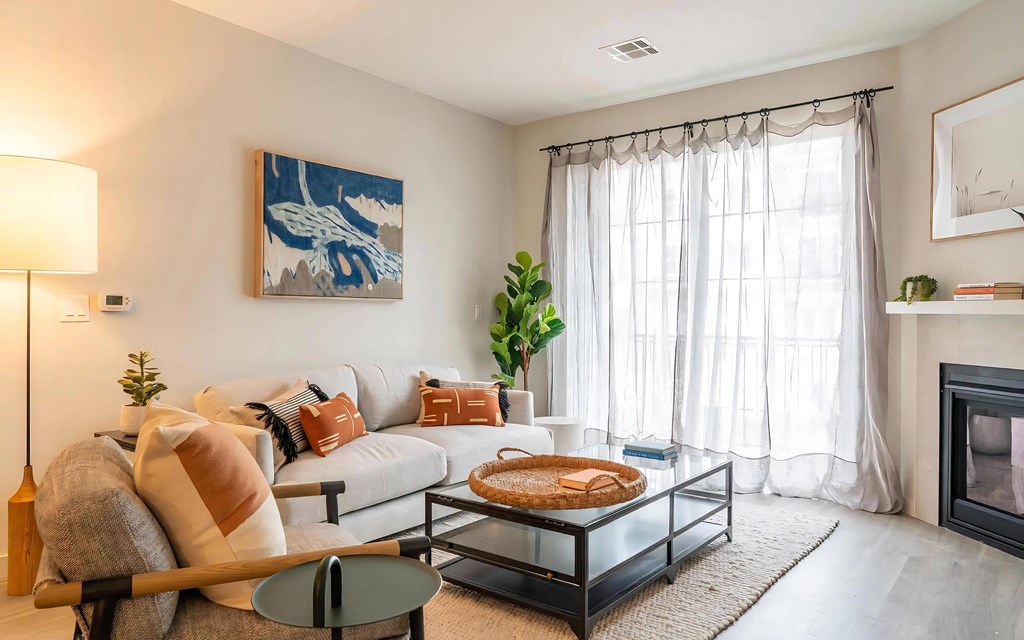 Living Rooms with Plenty of Natural Light