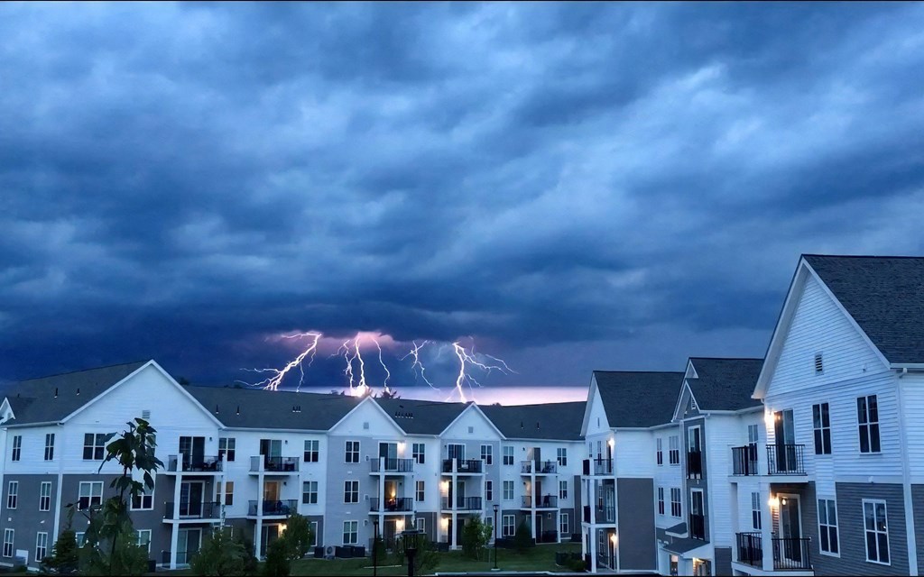 City Views are Overrated!