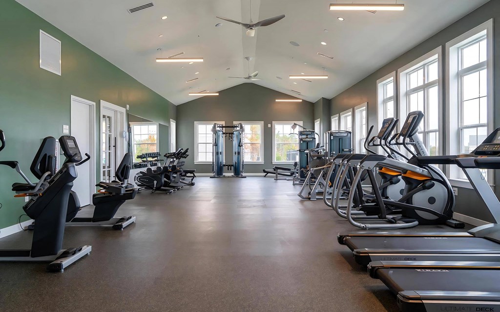 Fitness Studio with Cardio Machines and Weights