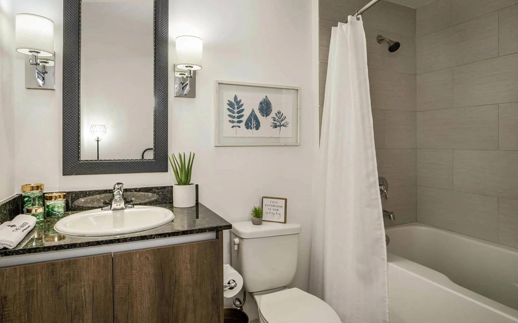 Spa Inspired Bathrooms with Large Tubs