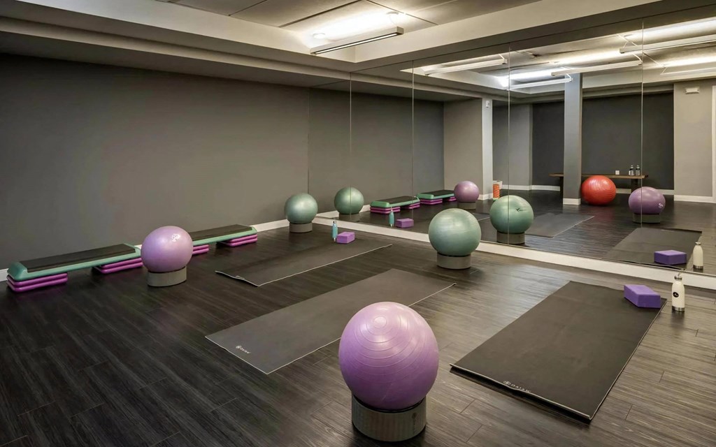 Private Studio with Exercise Equipment