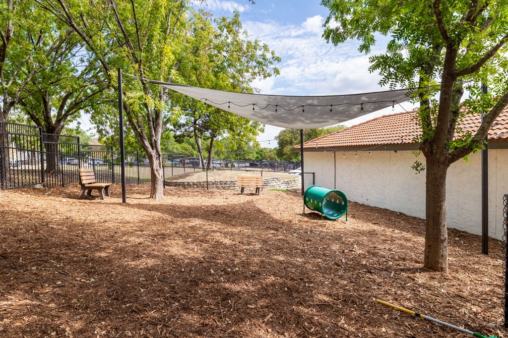 take a stroll through the dog park