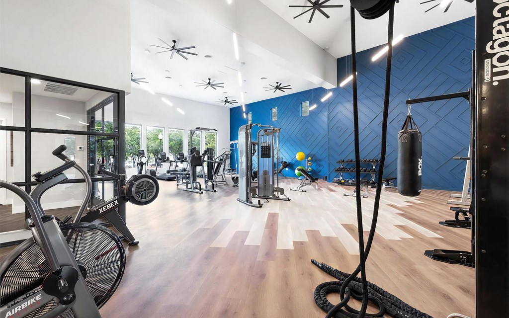 Mesa Verde Fitness Large Fitness Center with Ropes Punching Bag Airdyne and Cable Machine