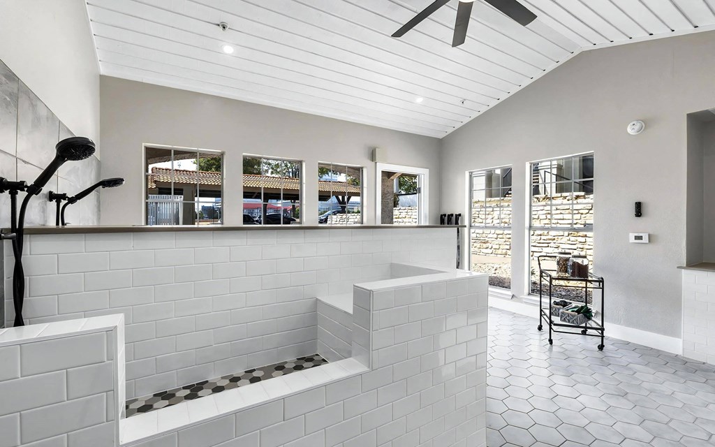 Mesa Verde Pets Pet Spa with Wash Station for Large Dogs