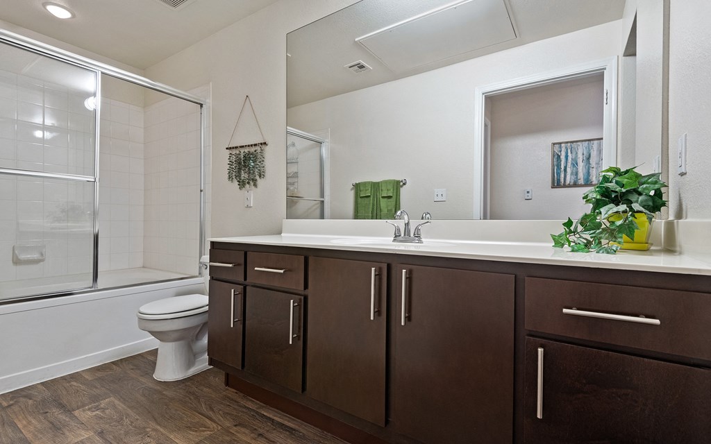 Mountainside Bathroom Luxurious Bathrooms with Large Showers