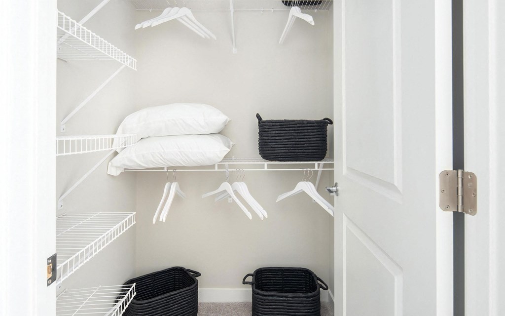 Oversized Closets with Built In Shelves