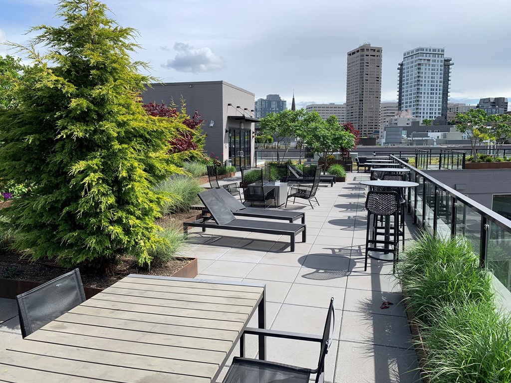 Rooftop Patio with Bar Seating and Tables Overlooking Urban Skyline