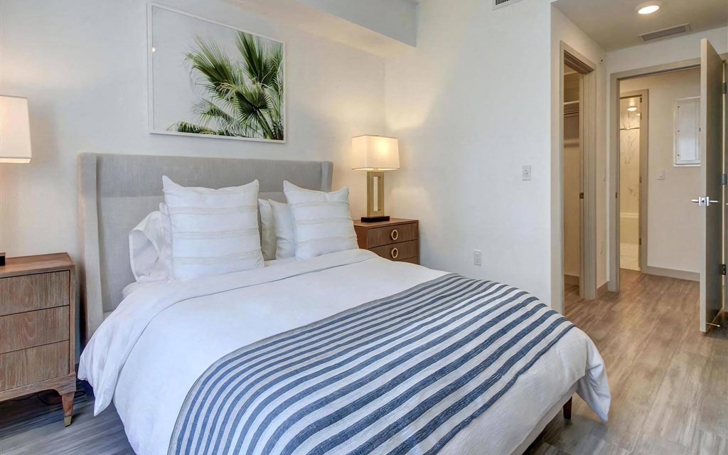 Spacious Bedroom With Walk In Closet