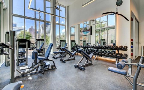 Fitness studio with selectorized machines, adjustable benches and a dumbbell rack under double-height windows.