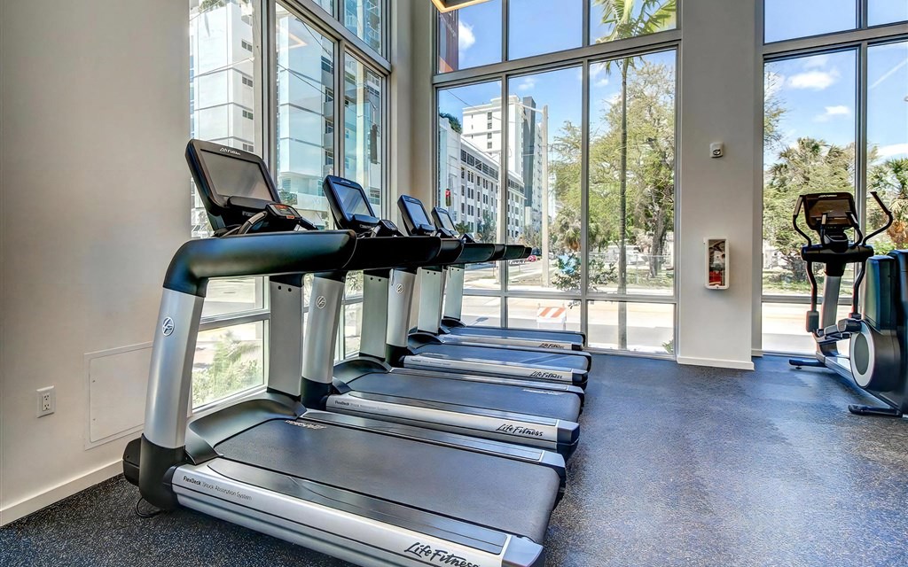 Cardio Machines In Fitness Studio