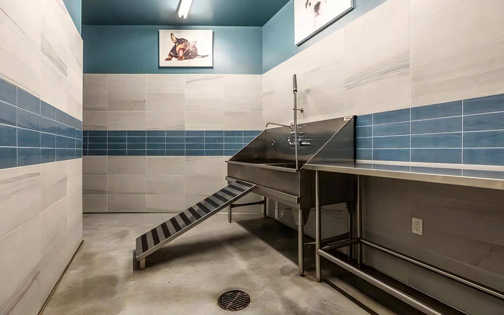 Pet Wash Station with Elevated Tub, Ramp, and Stainless Steel Counter