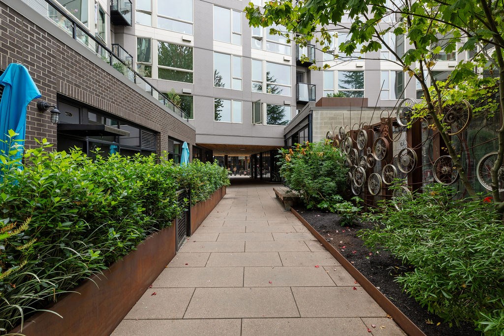 A walkway between two green shrubbery.
