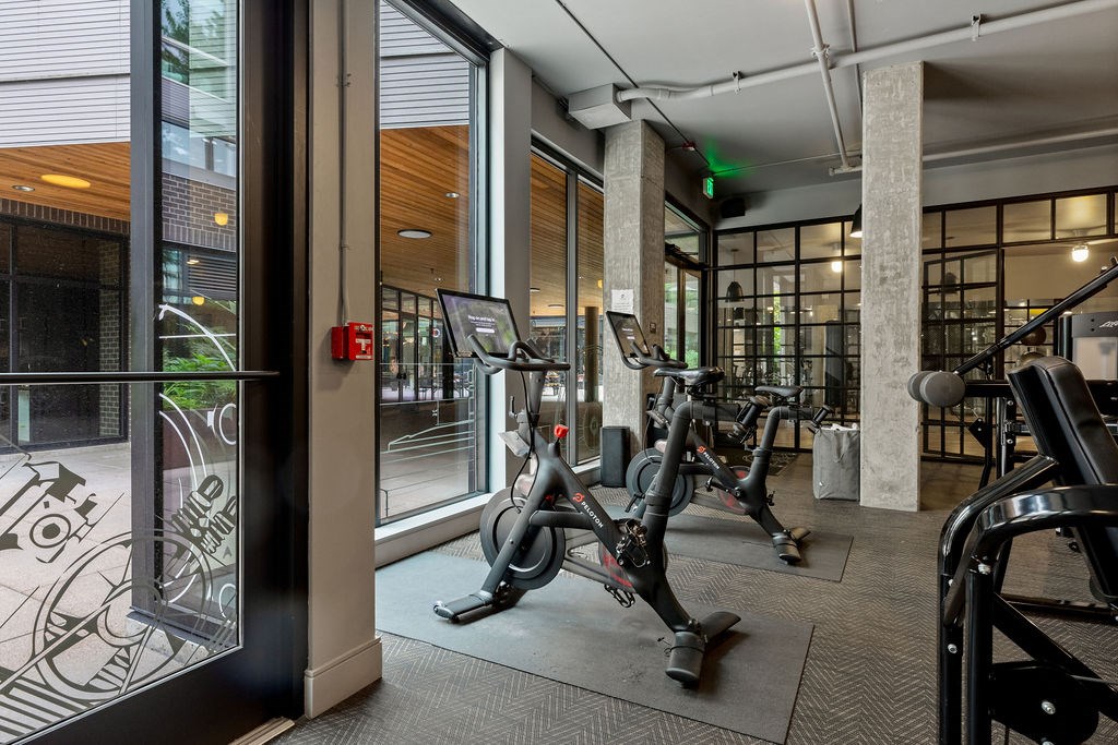 A gym with treadmills and other exercise equipment.